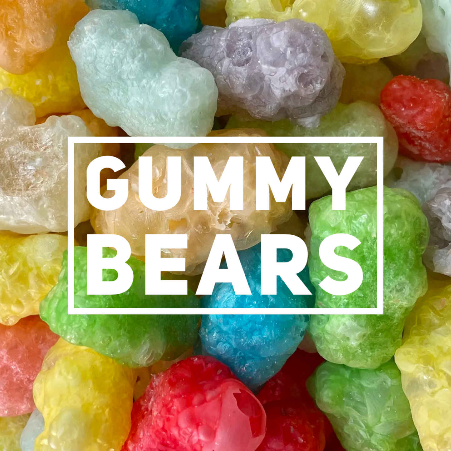 Freeze Dried Gummy Bears!